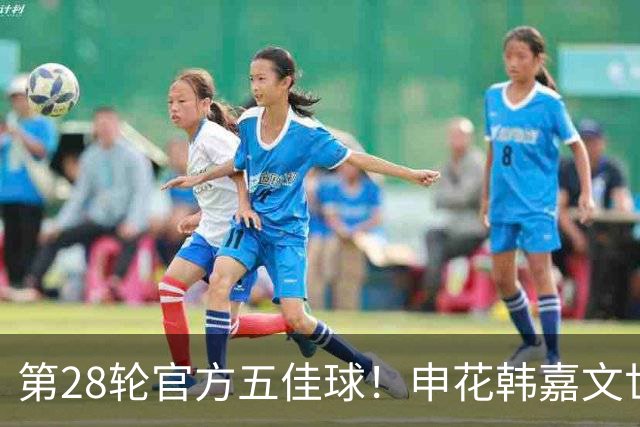 第28轮官方五佳球！申花韩嘉文世界波第3 海港莱昂纳多吊射是第一